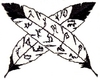 Indian Feathers