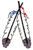 Indian Feathers