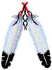Indian Feathers