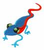 Little Lizard