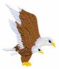 Eagle Pair