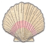 Sea Shell