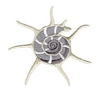 Sea Shell