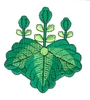 Oriental Plant