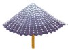 Japanese Parasol Single