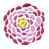 Chrysanthemums #5