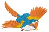 Exotic Bird