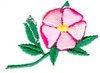 Alberta Rose with stem