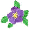 "Alberta Rose with leaves, larger"