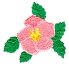 "Alberta Rose with leaves, smaller"