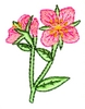 Yukon Provincial Flower