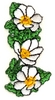 Northwest Territories Provincial Flower