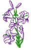 Quebec Flower (WHITE LILY)