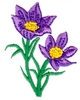 Manitoba Flower