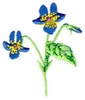 New Brunswick Flower