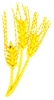 Grains