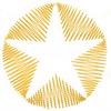 Star Quilt Circle