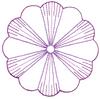 Variegated Violet