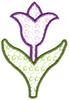 Single Tulip