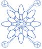 Waterlily