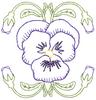 Pansy