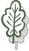 Oak Leaf