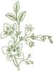 Blooms and Buds