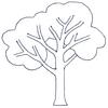 Deciduous Tree
