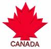 Canadian Leaf Applique