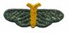 FSL - Lace Moth #2