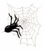 Puffy Spider in Web