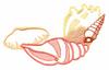 Shells ( Trapunto )