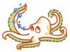Octopus ( Trapunto )