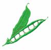 Peas ( Trapunto )