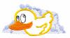 Duck and Bubbles ( Trapunto )