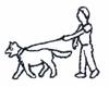 Walking Dog