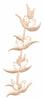 Rosebuds (Whitework)
