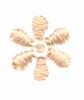 Single Daisy (Whitework)