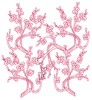 Apple Blossoms