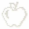 Apple Filigree - Small