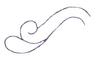 Single Serpentine Curl ( Quilting )