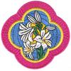 Madonna Lily Icon
