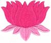 Lotus Flower