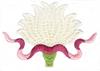 White Lotus Flower