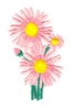 Painted Daisies