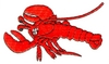 Lobster