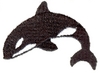 Killer Whale