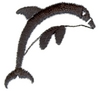 Dolphin