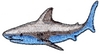 Shark