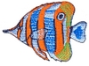 Tropical Fish